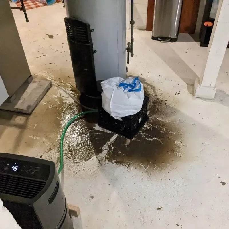 Sewage Backup Cleanup Service in Summit, IL